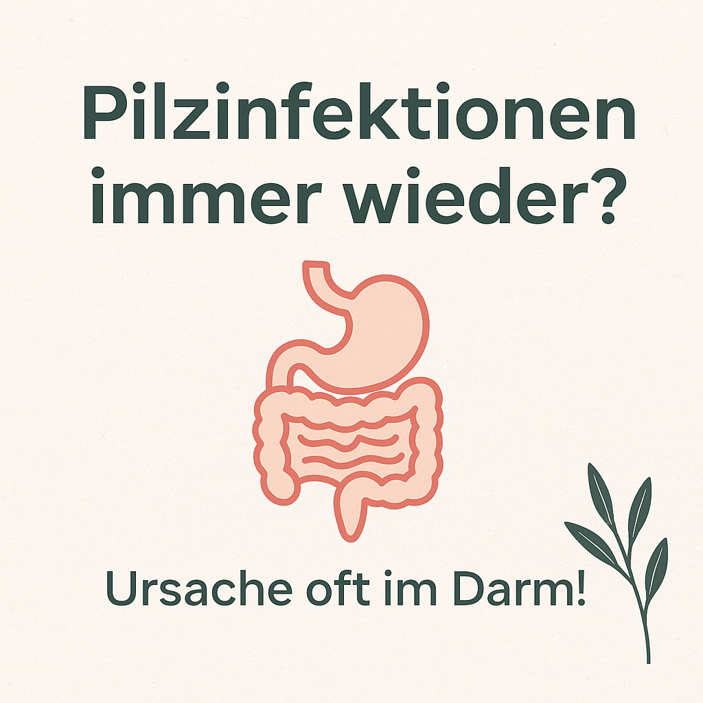 Pilzinfektion? Ursache oft Darm