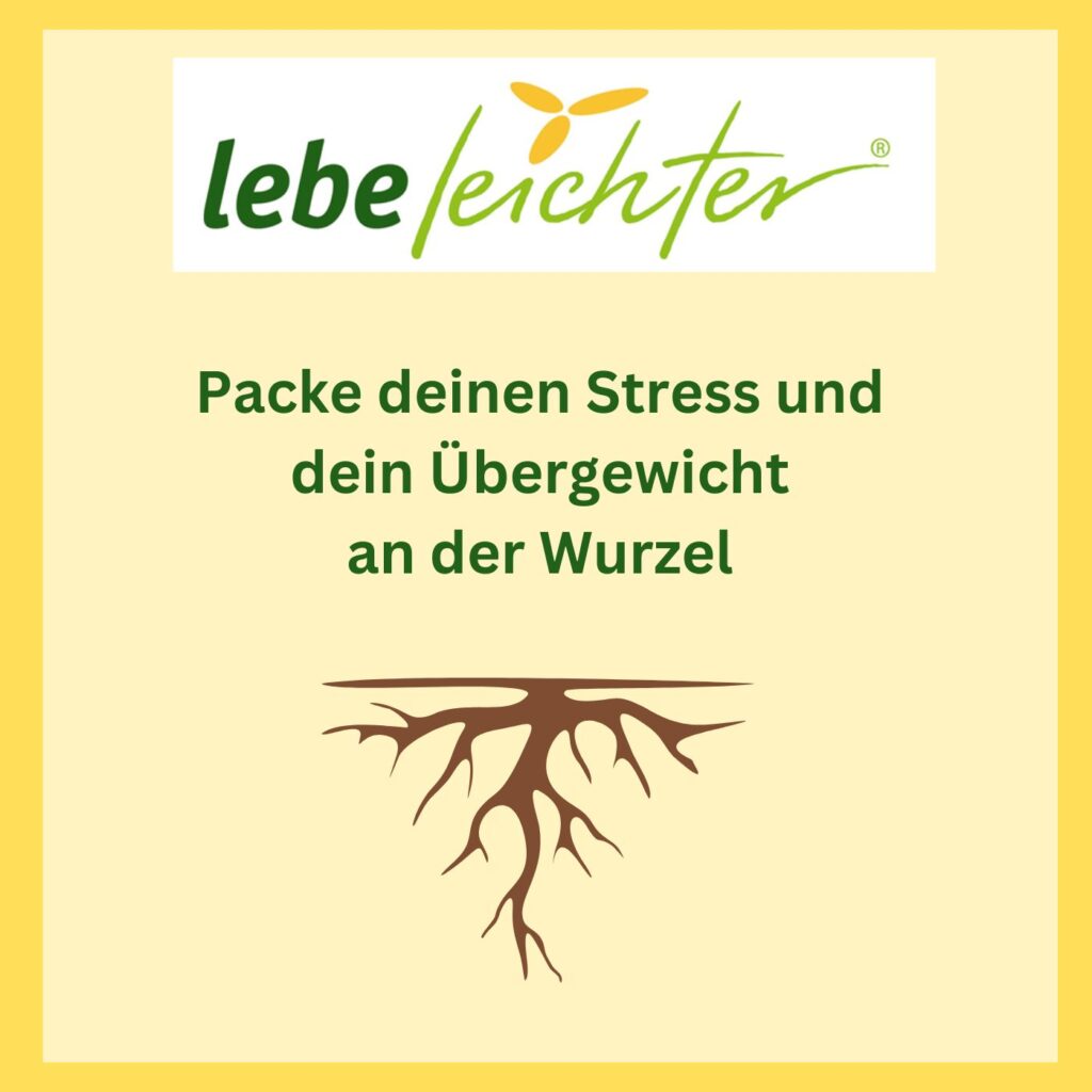 Stress Übergewicht