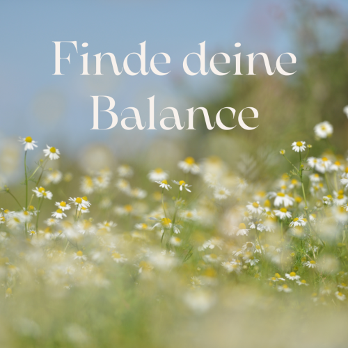 Kamillenwiese_FindeDeineBalance Finde dene Balance